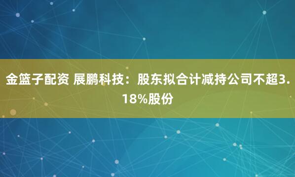 金篮子配资 展鹏科技：股东拟合计减持公司不超3.18%股份
