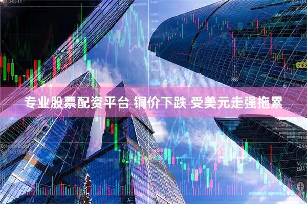 专业股票配资平台 铜价下跌 受美元走强拖累