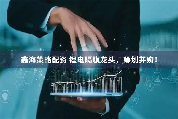鑫海策略配资 锂电隔膜龙头，筹划并购！