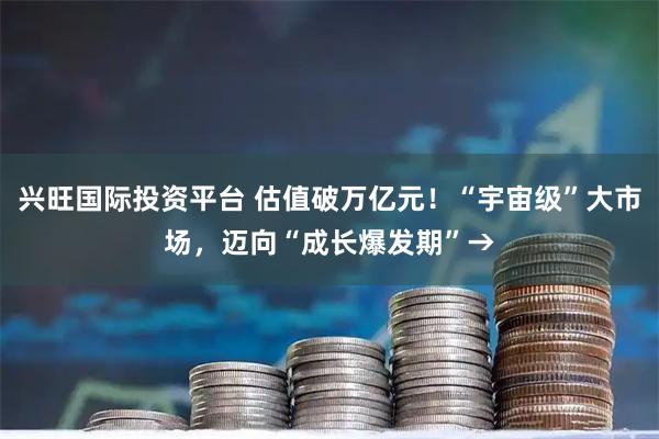 兴旺国际投资平台 估值破万亿元！“宇宙级”大市场，迈向“成长爆发期”→